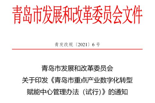 首批申報(bào)即將展開 青島出臺重點(diǎn)產(chǎn)業(yè)數(shù)字化轉(zhuǎn)型賦能中心管理辦法