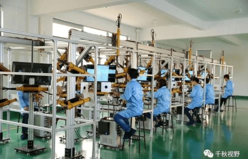 通向工廠之路 誰(shuí)在和制造業(yè)爭(zhēng)奪工人？——軟件科技領(lǐng)域技術(shù)開(kāi)發(fā)的影響與反思