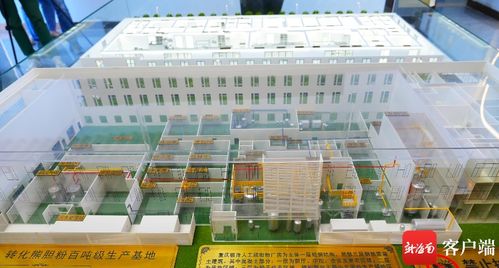 美安科技新城 打造創(chuàng)新藥企新高地，引領(lǐng)珍稀中藥材替代與軟件科技融合發(fā)展