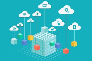 獵聘軟件科技領(lǐng)域技術(shù)開(kāi)發(fā) 趨勢(shì)、挑戰(zhàn)與人才策略